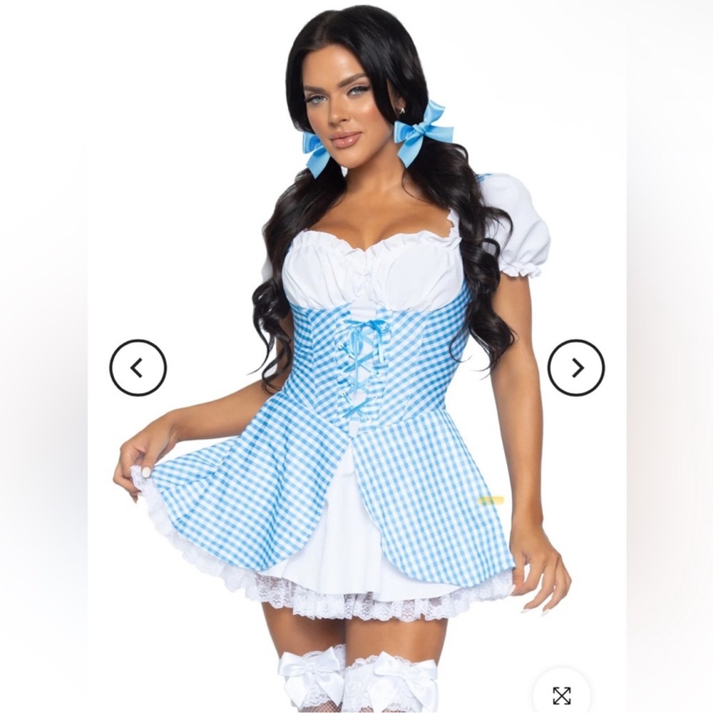 Gingham leg avenue costume